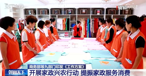 家政興農(nóng) 激發(fā)服務(wù)消費(fèi)新活力，賦能鄉(xiāng)村全面振興